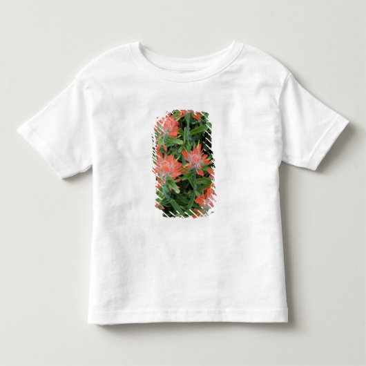 Castilleja-wildebloemen in de Many Kinder Shirts (Voorkant)