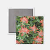 Castilleja-wildebloemen in de Many Magneet (Voorkant / Achterkant)