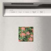 Castilleja-wildebloemen in de Many Magneet (Insitu (Vaatwasser))