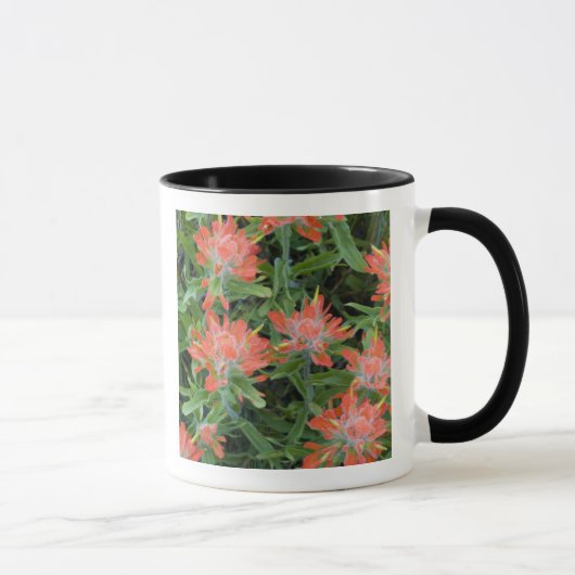 Castilleja-wildebloemen in de Many Mok (Rechts)