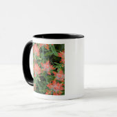Castilleja-wildebloemen in de Many Mok (Voorkant links)