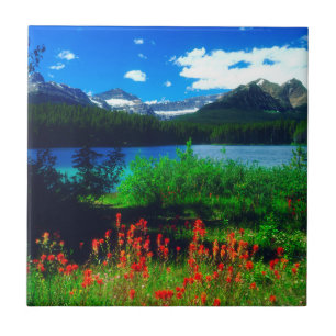 Castilleja-wildebloemen Tegeltje