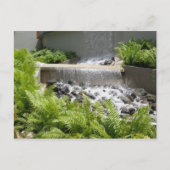 Castillo de los Niños Adjuntas Briefkaart (Voorkant)