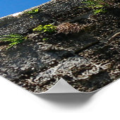 Castillo de San Marcos, Nationaal Monument, Florid Poster (Hoek)