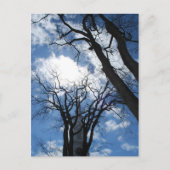 Castine Briefkaart - 2 (Voorkant)