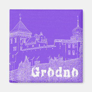 Castle Belarus Grodno Cityscape City Architecture Magneet