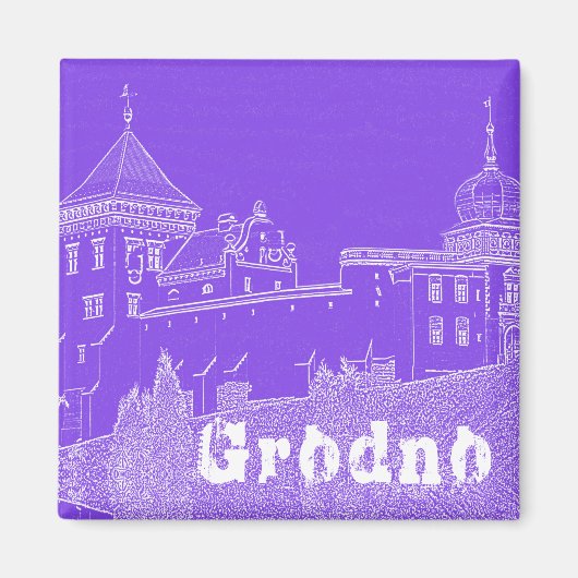 Castle Belarus Grodno Cityscape City Architecture Magneet (Voorkant)