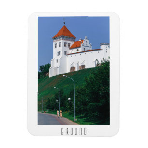 Castle Belarus Grodno Cityscape City Architecture Magneet