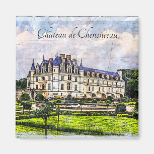 Castle Chenonceau. Frankrijk. Magneet