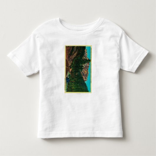 Castle Crags State Park uit de VS 99 Kinder Shirts (Voorkant)