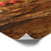 Castle - de geheime tuin poster (Hoek)