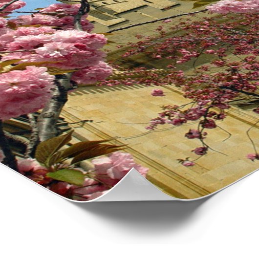 Castle en Flowers Poster (Hoek)