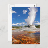 Castle Geyser Eruption Yellowstone National Park Briefkaart (Voorkant / Achterkant)
