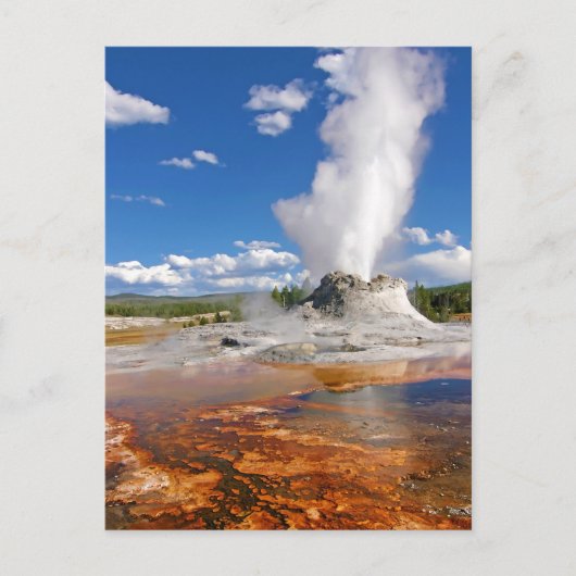 Castle Geyser Eruption Yellowstone National Park Briefkaart (Voorkant)