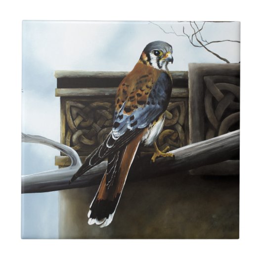 Castle Hunter Tegeltje (Voorkant)