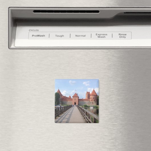 Castle - LITOUWEN op het eiland Trakai — Magneet (Insitu (Vaatwasser))