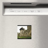 Castle Magnet (Insitu (Vaatwasser))