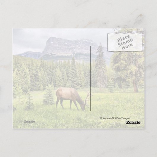 Castle Mountain Banff National Park Briefkaart (Achterkant)