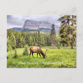 Castle Mountain Banff National Park Briefkaart