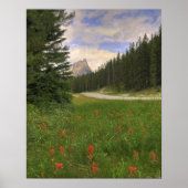 Castle Mountain Banff Poster (Voorkant)