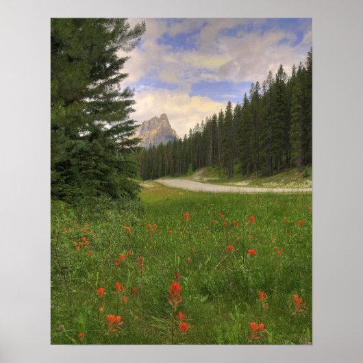 Castle Mountain Banff Poster (Voorkant)