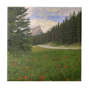 Castle Mountain Banff Tegeltje