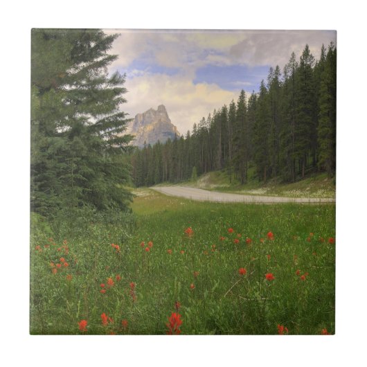 Castle Mountain Banff Tegeltje (Voorkant)