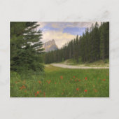 Castle Mountain Briefkaart (Voorkant)