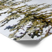 Castle Mountain-Poster Poster (Hoek)