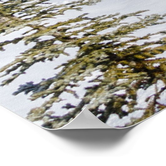 Castle Mountain-Poster Poster (Hoek)