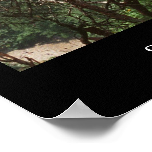 Castle Neuschwanstein Poster (Hoek)