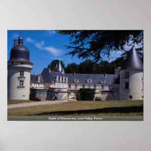 Castle of Chenonceau, Loire Valley, Frankrijk Poster