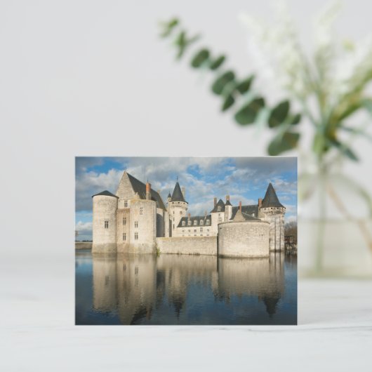 Castle of Sully sur Loire Briefkaart (Staand voorkant)