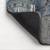 Castle of the Counts in Gent Muismat (Hoek)