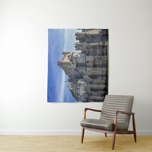 Castle of the Counts in Gent Wandkleed (In situ)