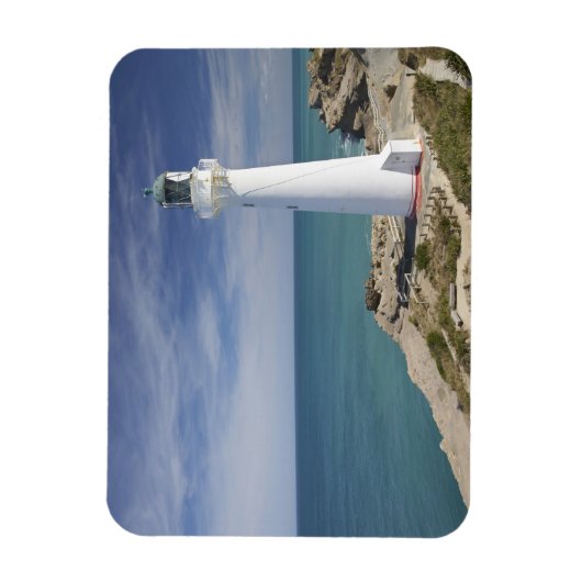 Castle Point Lighthouse, Castlepoint, Wairarapa, Magneet (Verticaal)