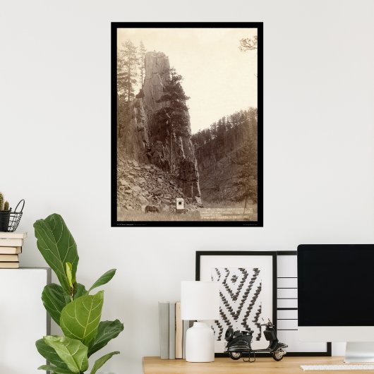 Castle Rock SD 1888 Poster (Thuiskantoor)