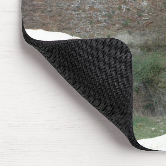 Castle Ruins Muismat (Hoek)