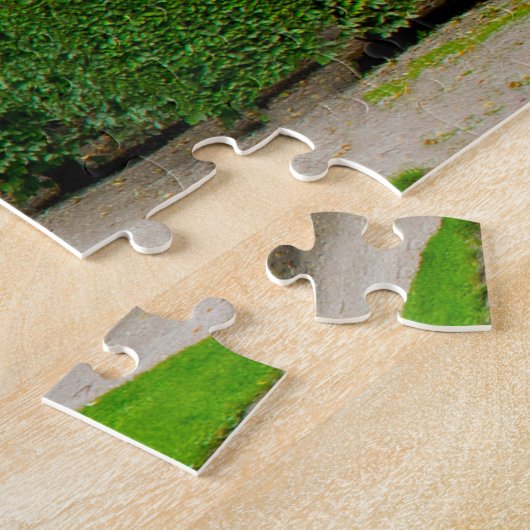 Castle Schwetzingen Baden Württemberg. Legpuzzel (Zijkant)