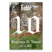 Castle Wedding Table Number-kaarten Kaart (Achterkant)