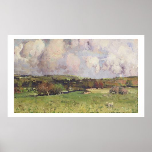 Castlefern, c.1890-95 (olie op canvas) poster (Voorkant)