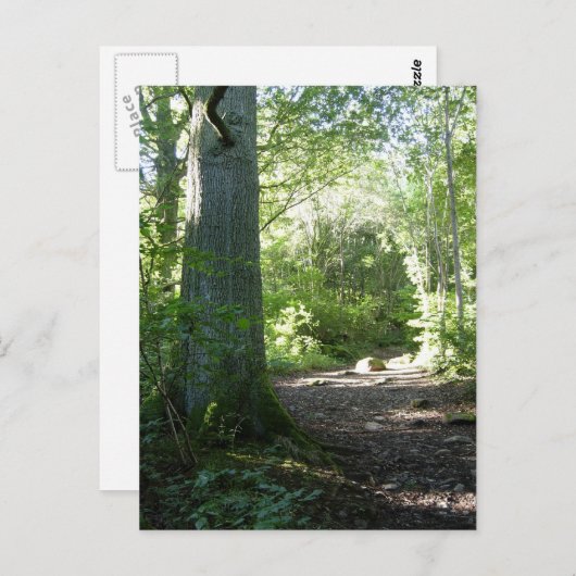 Castlehead Wood: Keswick Briefkaart (Voorkant / Achterkant)