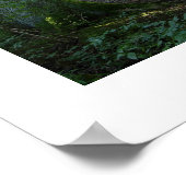 Castlehead Wood: Keswick Poster (Hoek)