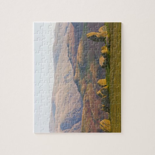 Castlerigg Stone Circle, Lake District, Cumbria, 2 Legpuzzel (Verticaal)