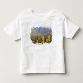 Castlerigg Stone Circle, Lake District, Cumbria Kinder Shirts (Voorkant)