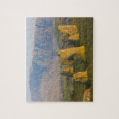 Castlerigg Stone Circle, Lake District, Cumbria, Legpuzzel (Verticaal)