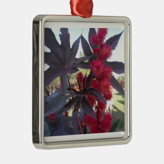 Castor Bean Kerstversier Metalen Ornament (Rechts)