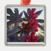 Castor Bean Kerstversier Metalen Ornament (Voorkant)
