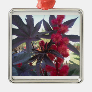 Castor Bean Kerstversier Metalen Ornament