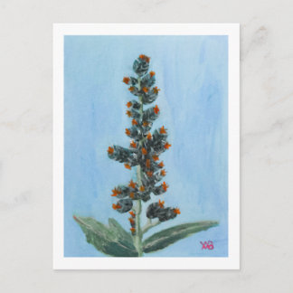 Castor Bean Plant Briefkaart